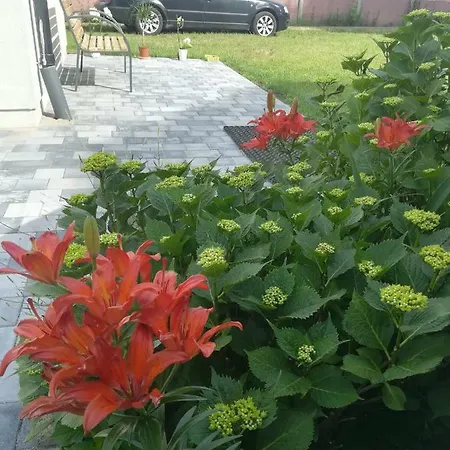 Krynica - * Krynica Morska