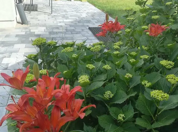 Krynica - * Крыница-Морска